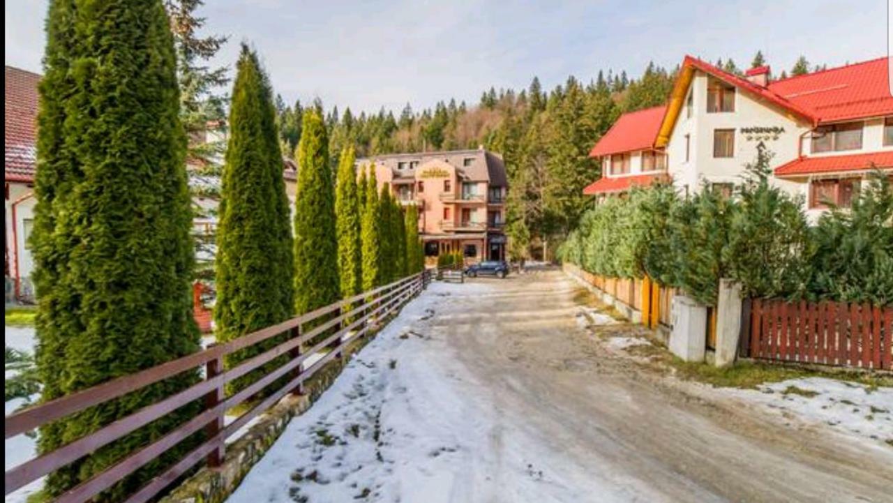 Apartament Andra Poiana Brașov Exterior foto